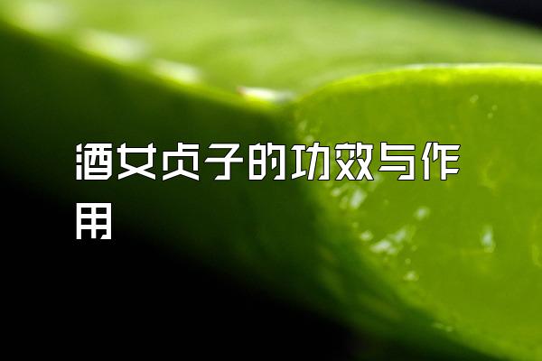 貞子作用與功效_中藥酒貞子的作用_酒女貞子的功效和作用