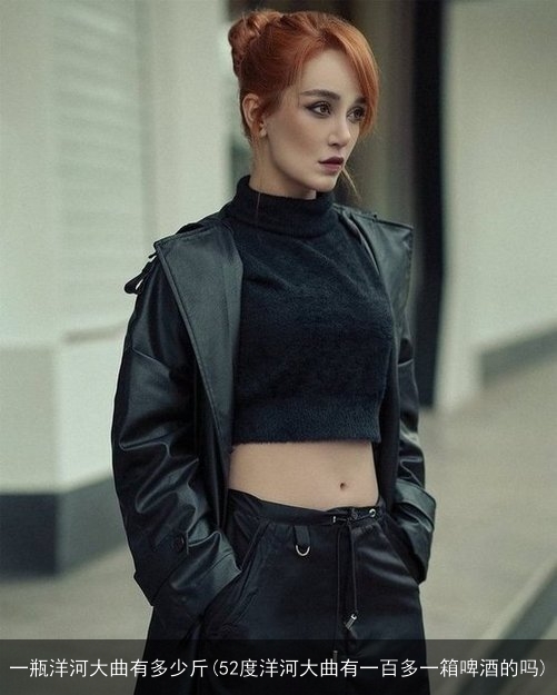 一瓶洋河大曲有多少斤(52度洋河大曲有一