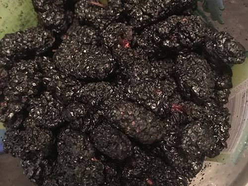 桑葚泡酒的功效與作用