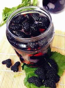 發(fā)酵桑葚酒的做法_發(fā)酵做法桑葚酒自然發(fā)酵多久_桑葚酒自然發(fā)酵做法