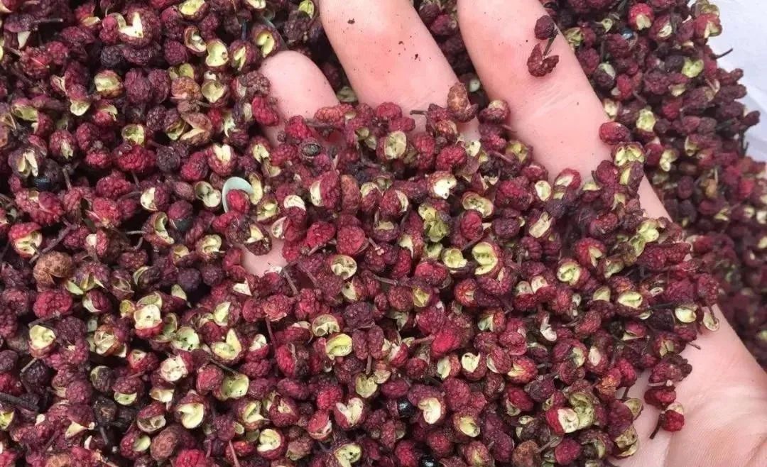 料酒含酒精嗎_料酒里酒精含量_料酒含食用酒精