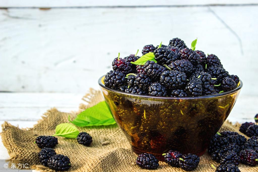 悄悄告訴你，桑葚酒泡足這個天數(shù)就可以喝了