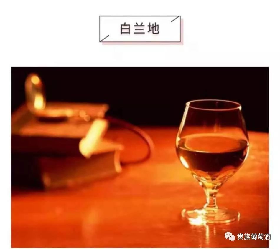 葡萄酒與白蘭地、威士忌等烈酒究竟有什么區(qū)