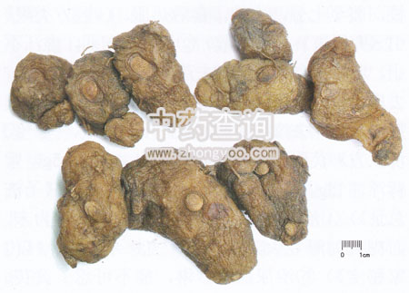 酒黃精的功效_酒黃精的功效_酒黃精的功效