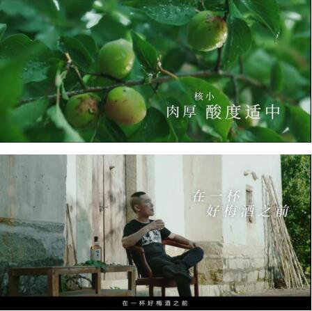 梅見酒精度數(shù)_梅見酒多少度_梅見酒度數(shù)高嗎