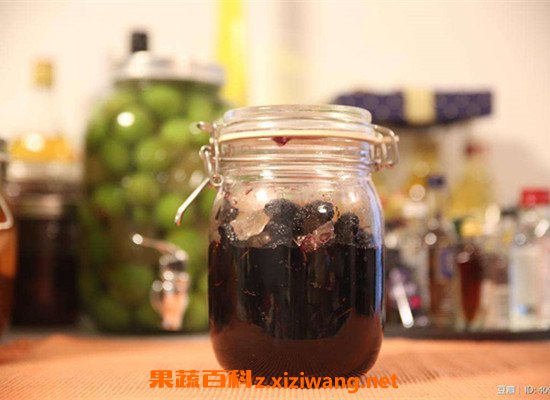 泡酒功效桑果怎么泡_桑果泡酒功效_桑果泡酒的功效與作