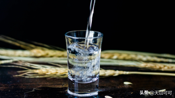 糧食酒有哪些牌子_糧食牌子酒有哪些品牌_糧食酒的牌子