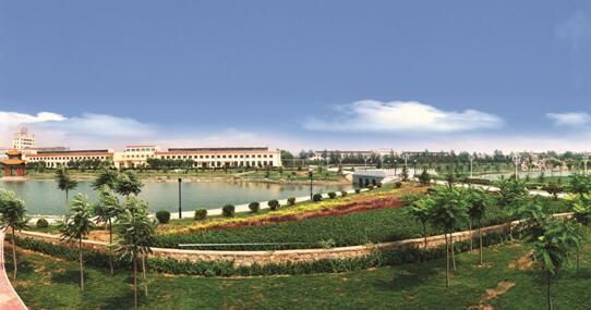 汾酒1510系列之十一：酒都杏花村大面積森林所蘊(yùn)含的玄機(jī)