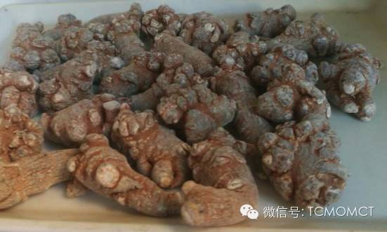 三七酒的作用與功效_三七藥酒功效_三七灑的功效與禁記