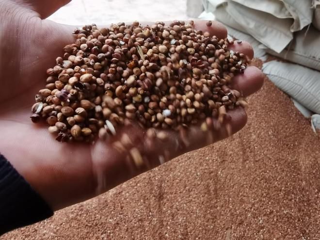 有哪些是糧食酒_十大公認(rèn)的糧食酒_公認(rèn)的糧食酒