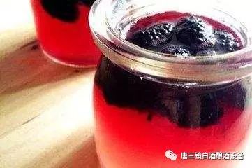 功效桑葚酒有哪些_功效桑葚酒有哪些品牌_桑葚酒有什么功效