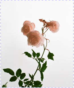 薛婷婷：收小老師有故事  你有酒嗎